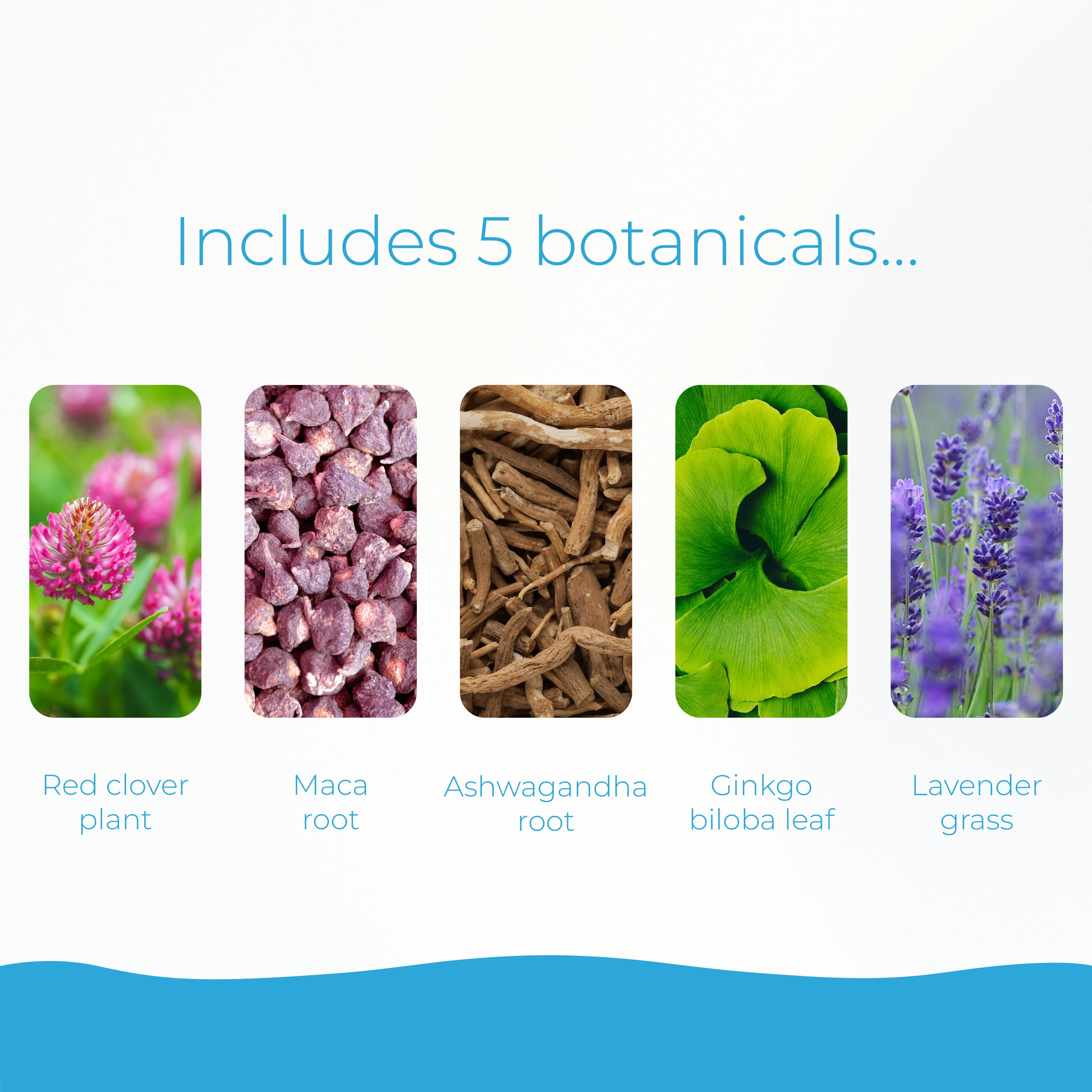 Health & Her Perimenopause Multi Nutrient Gummies - Image 11